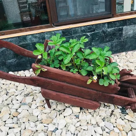 La Mare Oana 曼加利亚